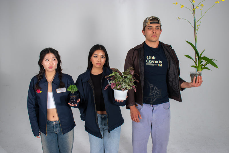 Three Club Cosmo's models holding plants for a spring drop clothing collection against a white background.